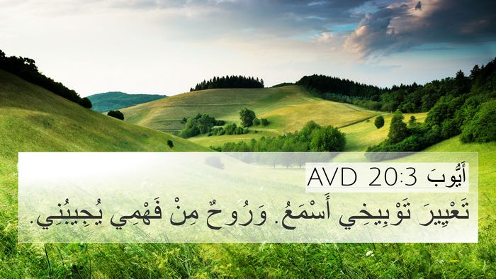 أَيُّوبَ 20:3 AVD Bible Verse Image