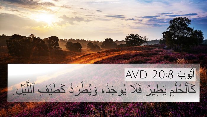 أَيُّوبَ 20:8 AVD Bible Verse Image