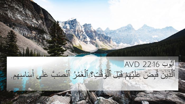 أَيُّوبَ 22:16 AVD Bible Verse Image