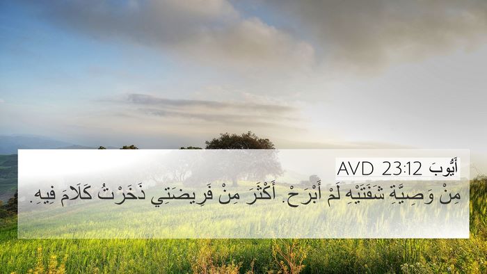 أَيُّوبَ 23:12 AVD Bible Verse Image
