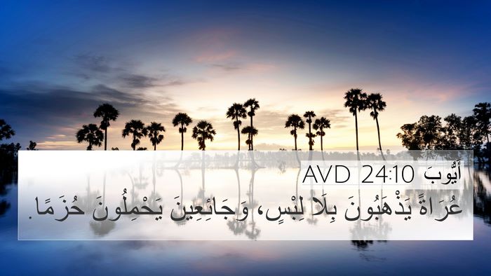 أَيُّوبَ 24:10 AVD Bible Verse Image