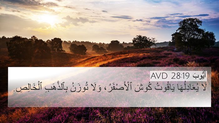 أَيُّوبَ 28:19 AVD 4K Wallpaper - لَا يُعَادِلُهَا يَاقُوتُ - 4K Wallpaper Bible Verse