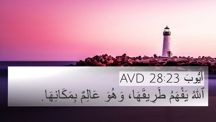 أَيُّوبَ 28:23 AVD 4K Wallpaper - ٱللهُ يَفْهَمُ - 4K Wallpaper Bible Verse
