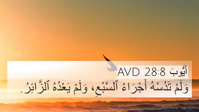 أَيُّوبَ 28:8 AVD Bible Verse Image