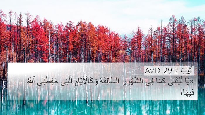 أَيُّوبَ 29:2 AVD Bible Verse Image