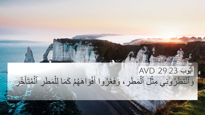 أَيُّوبَ 29:23 AVD Bible Verse Image
