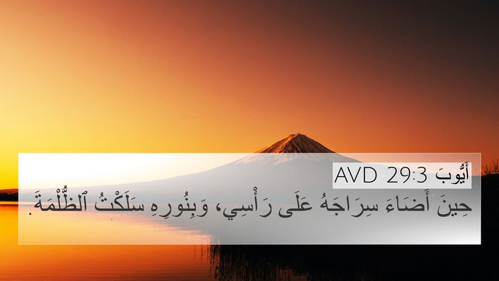 أَيُّوبَ 29:3 AVD Bible Verse Image