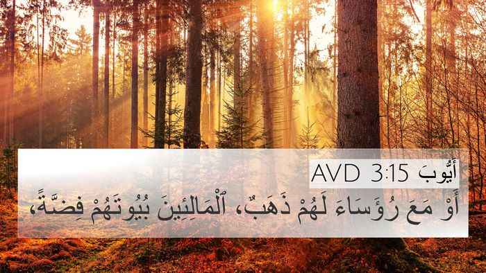 أَيُّوبَ 3:15 AVD 4K Wallpaper - أَوْ مَعَ رُؤَسَاءَ لَهُمْ - 4K Wallpaper Bible Verse
