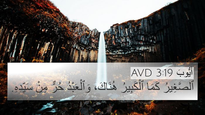 أَيُّوبَ 3:19 AVD Bible Verse Image
