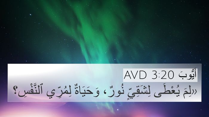 أَيُّوبَ 3:20 AVD Bible Verse Image