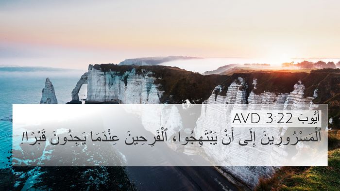أَيُّوبَ 3:22 AVD Bible Verse Image