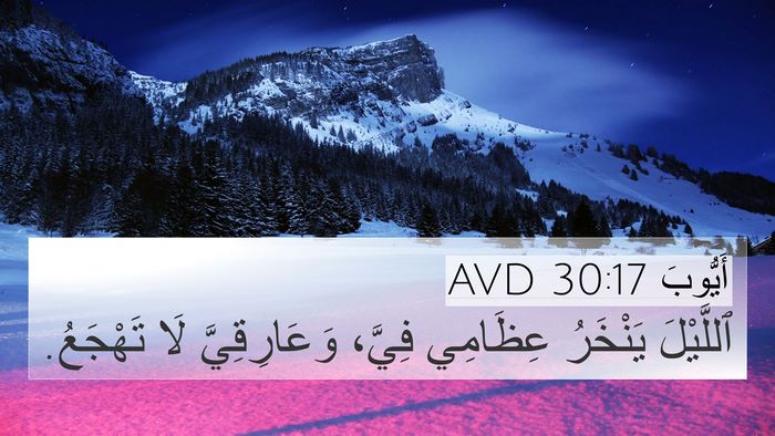 أَيُّوبَ 30:17 AVD Bible Verse Image