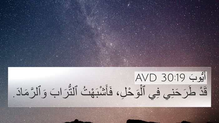 أَيُّوبَ 30:19 AVD Bible Verse Image