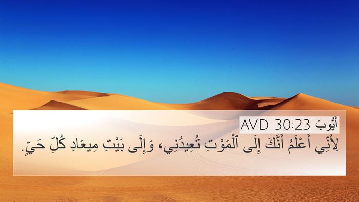 أَيُّوبَ 30:23 AVD Bible Verse Image