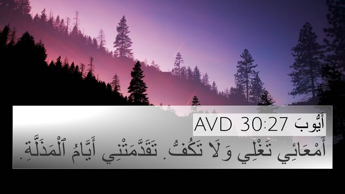 أَيُّوبَ 30:27 AVD Bible Verse Image