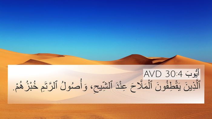 أَيُّوبَ 30:4 AVD 4K Wallpaper - ٱلَّذِينَ يَقْطِفُونَ - 4K Wallpaper Bible Verse