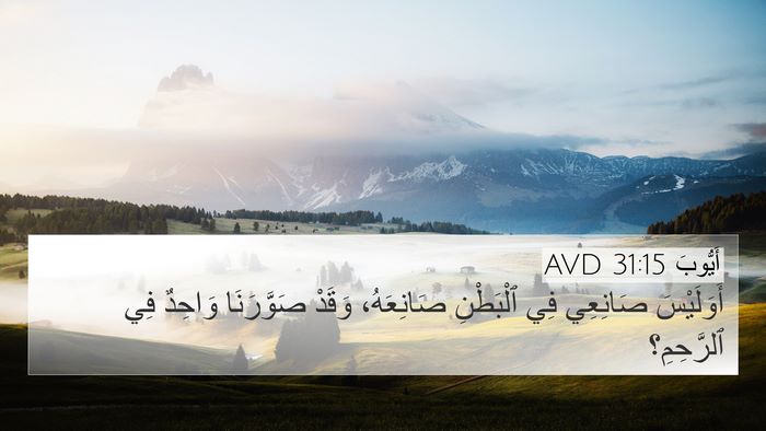 أَيُّوبَ 31:15 AVD Bible Verse Image