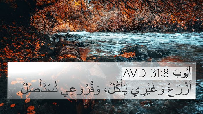 أَيُّوبَ 31:8 AVD Bible Verse Image