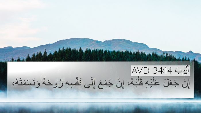 أَيُّوبَ 34:14 AVD Bible Verse Image