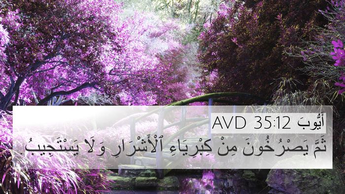 أَيُّوبَ 35:12 AVD Bible Verse Image