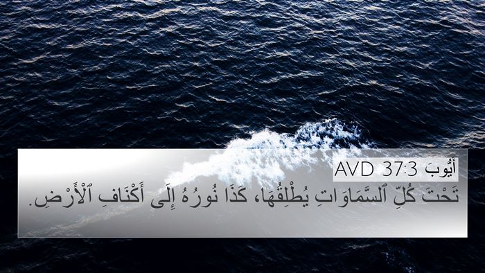 أَيُّوبَ 37:3 AVD Bible Verse Image
