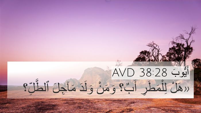 أَيُّوبَ 38:28 AVD 4K Wallpaper - «هَلْ لِلْمَطَرِ أَبٌ؟ - 4K Wallpaper Bible Verse