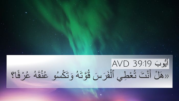 أَيُّوبَ 39:19 AVD Bible Verse Image