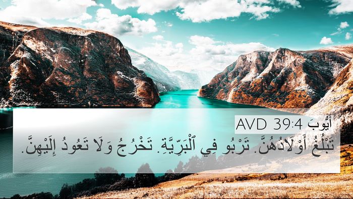 أَيُّوبَ 39:4 AVD Bible Verse Image