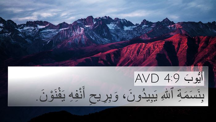 أَيُّوبَ 4:9 AVD Bible Verse Image