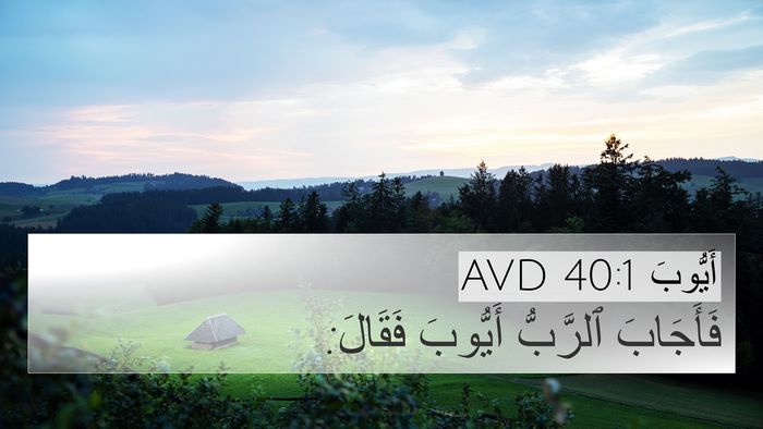 أَيُّوبَ 40:1 AVD Bible Verse Image