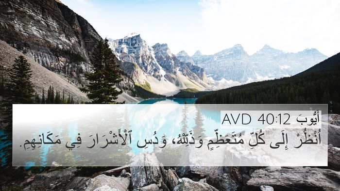 أَيُّوبَ 40:12 AVD Bible Verse Image