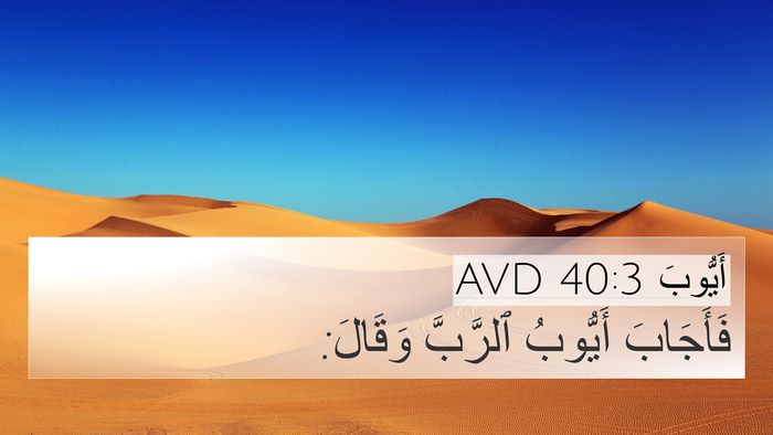 أَيُّوبَ 40:3 AVD Bible Verse Image