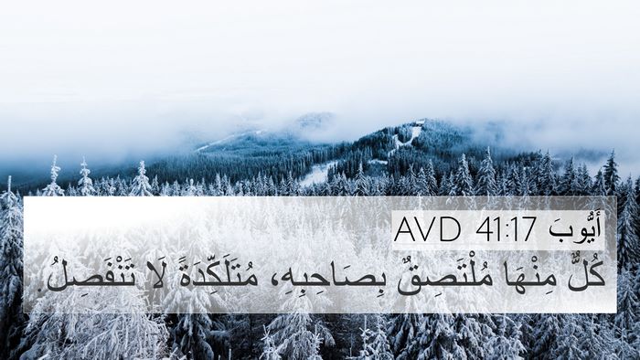 أَيُّوبَ 41:17 AVD 4K Wallpaper - كُلٌّ مِنْهَا مُلْتَصِقٌ - 4K Wallpaper Bible Verse