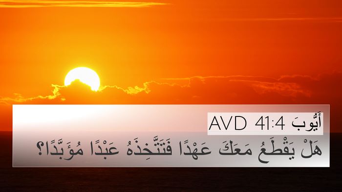 أَيُّوبَ 41:4 AVD Bible Verse Image