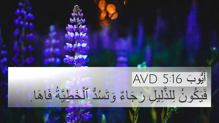 أَيُّوبَ 5:16 AVD Bible Verse Image