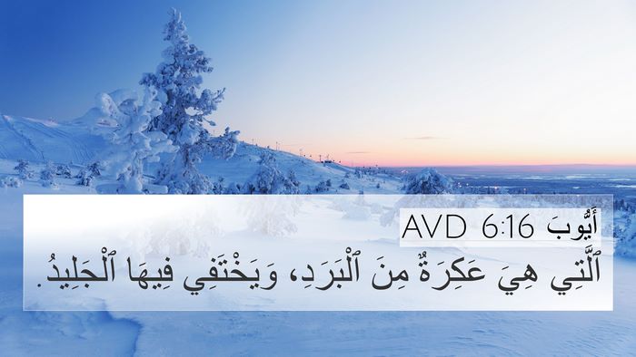 أَيُّوبَ 6:16 AVD Bible Verse Image