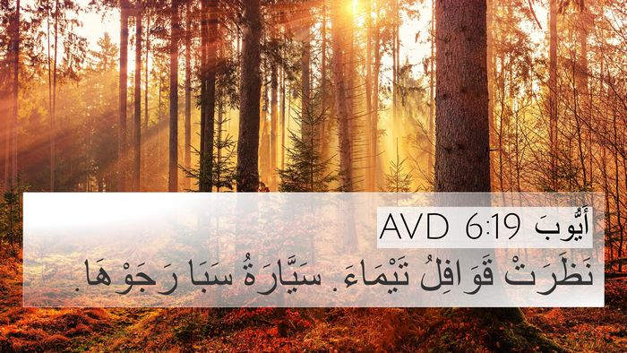 أَيُّوبَ 6:19 AVD Bible Verse Image