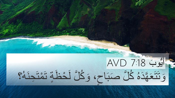 أَيُّوبَ 7:18 AVD Bible Verse Image