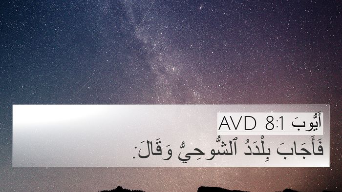 أَيُّوبَ 8:1 AVD Bible Verse Image