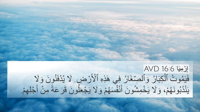 إِرْمِيَا 16:6 AVD Bible Verse Image