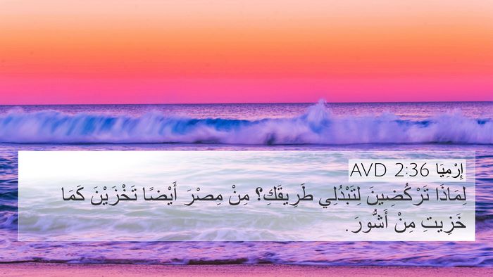 إِرْمِيَا 2:36 AVD Bible Verse Image