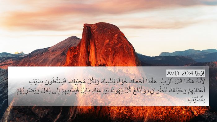 إِرْمِيَا 20:4 AVD Bible Verse Image