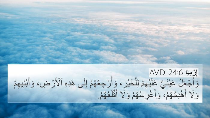 إِرْمِيَا 24:6 AVD Bible Verse Image