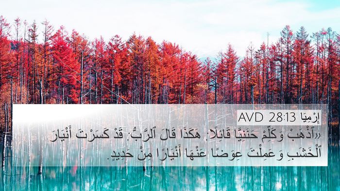 إِرْمِيَا 28:13 AVD Bible Verse Image