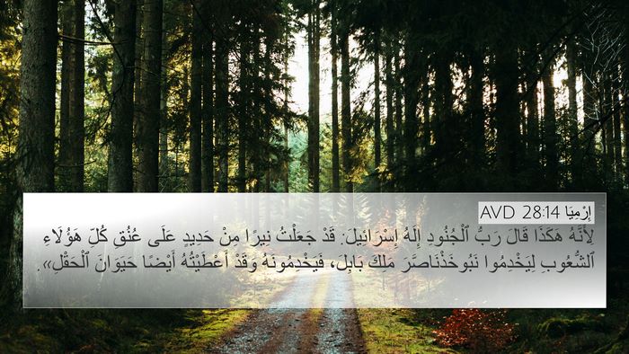 إِرْمِيَا 28:14 AVD Bible Verse Image