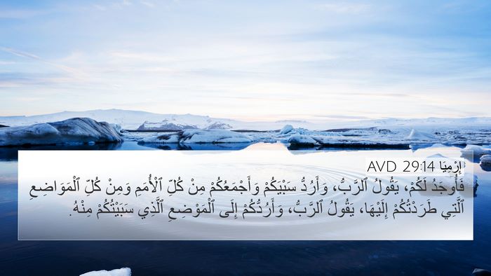 إِرْمِيَا 29:14 AVD Bible Verse Image