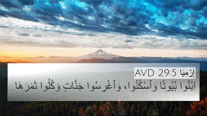 إِرْمِيَا 29:5 AVD 4K Wallpaper - اِبْنُوا بُيُوتًا - 4K Wallpaper Bible Verse