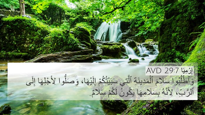 إِرْمِيَا 29:7 AVD 4K Wallpaper - وَٱطْلُبُوا سَلَامَ - 4K Wallpaper Bible Verse