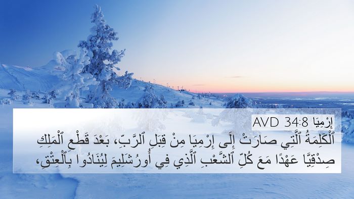 إِرْمِيَا 34:8 AVD Bible Verse Image