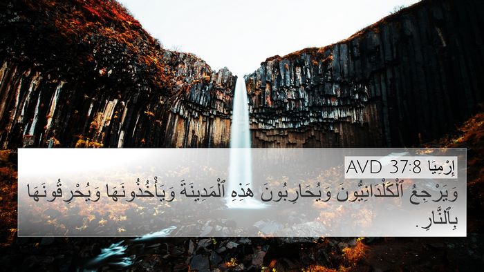 إِرْمِيَا 37:8 AVD Bible Verse Image